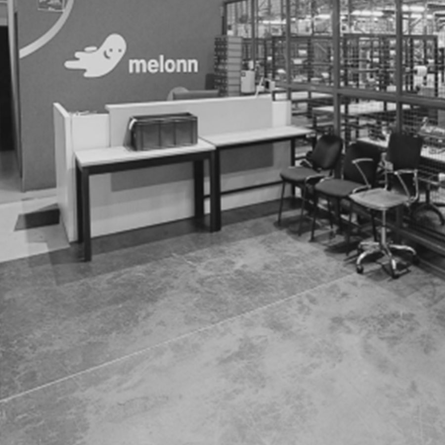 Imagen que acompaña la historia de Melonn.